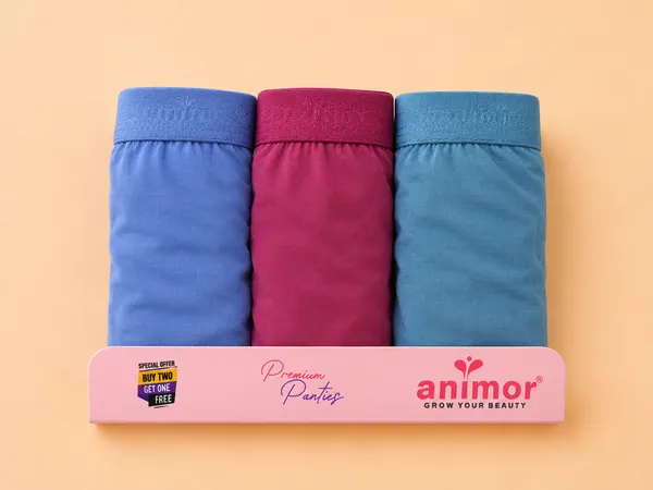 Multicolor_Brief_Panties_Set_For_Women