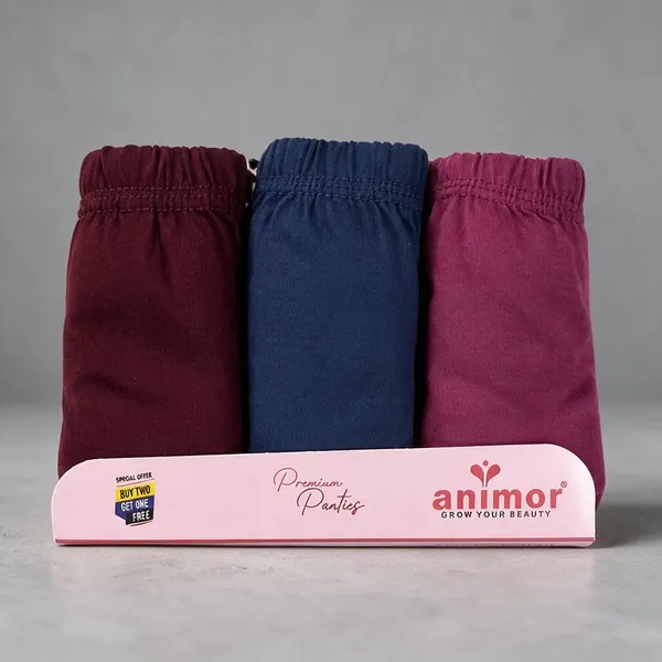 Maroon_Blue_Pink_Brief_Style_Panties_Pack_For_Women_Pack_Of_3