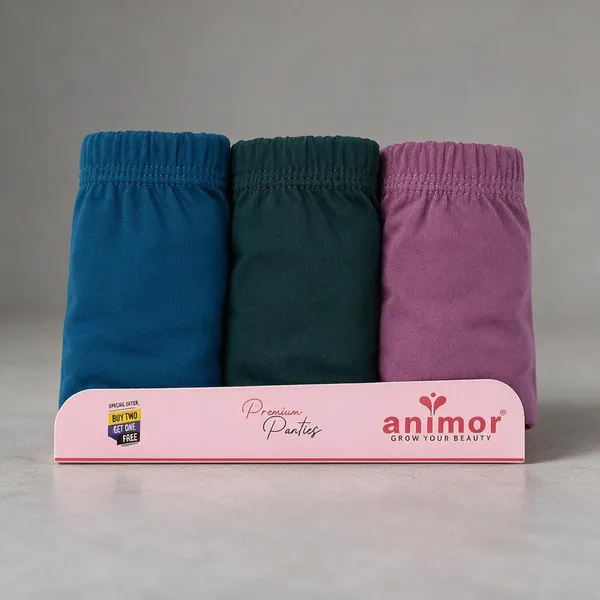 Multicolor_Brief_Panties_For_Women_Pack_Of_3