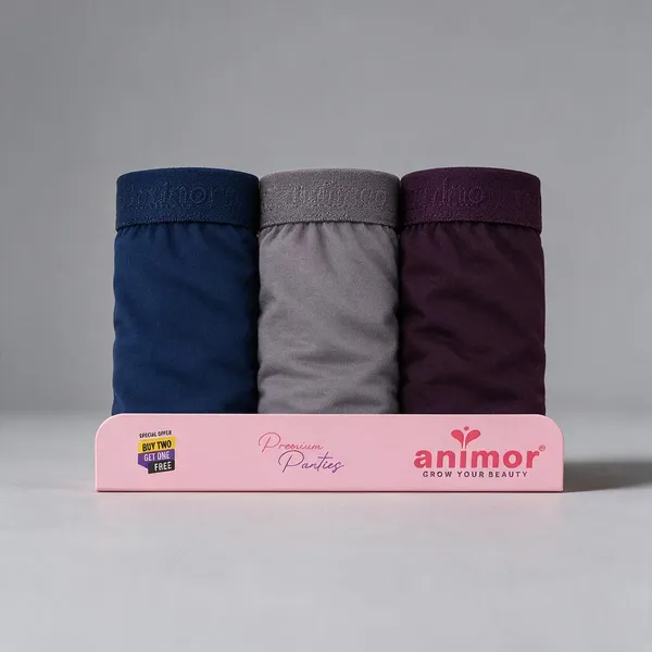 Multicolour_Brief_Panties_For_Women_Pack_Of_3