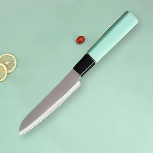 Mint_Green_Kitchen_Knife_�_Sleek_Multipurpose_Cutting_Knife_with_Ergonomic_Handle