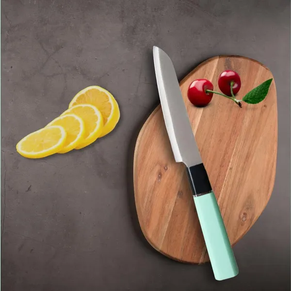 Mint_Green_Kitchen_Knife_�_Sleek_Multipurpose_Cutting_Knife_with_Ergonomic_Handle