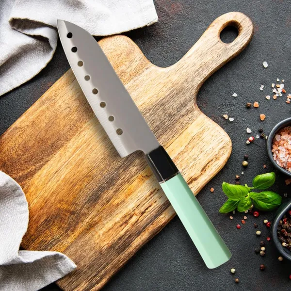 Premium_Stainless_Steel_Kitchen_Knife_with_Ergonomic_Mint_Green_Handle_|_Multipurpose_Vegetable,_Fruit_&_Food_Cutting_Knife