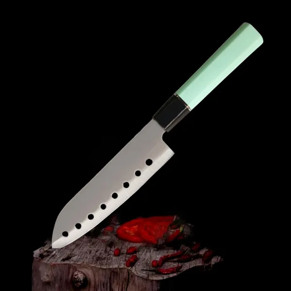 Premium_Stainless_Steel_Kitchen_Knife_with_Ergonomic_Mint_Green_Handle_|_Multipurpose_Vegetable,_Fruit_&_Food_Cutting_Knife