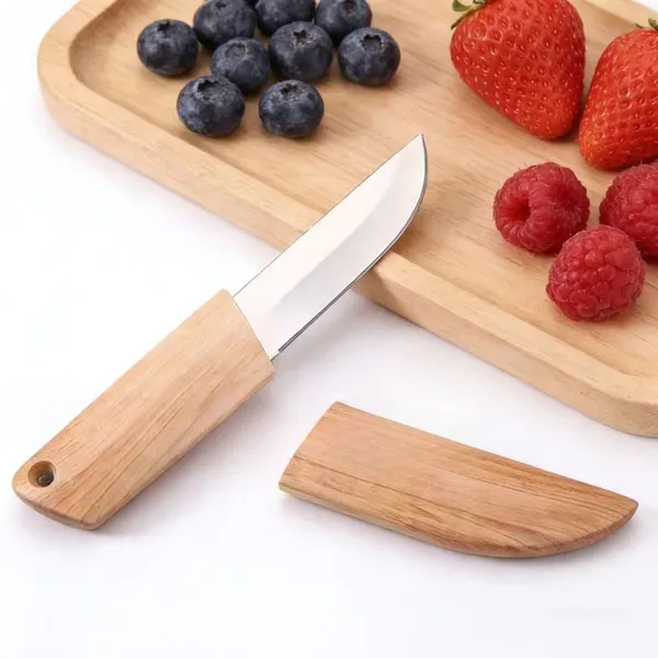 Fruit_&_Vegetable_Knife,_Stainless_Steel_Kitchen_Knife_for_Travel,_Cooking,_Utility_Knife_for_Home_&_Kitchen_(Pack_of_1)