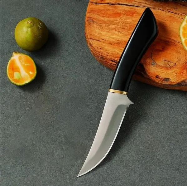 Premium_Stainless_Steel_Fruit_Knife,_Steel_Blade_Utility_cutter_for_Kitchen_&_Vegetable_Cutting_Knife_Ergonomic_Grip_(Pack_of_1)