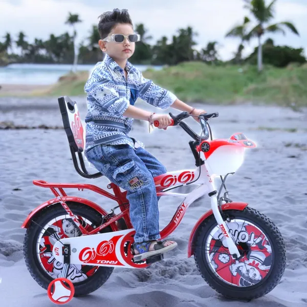 Bmx_Bicycle_With_Training_Wheels