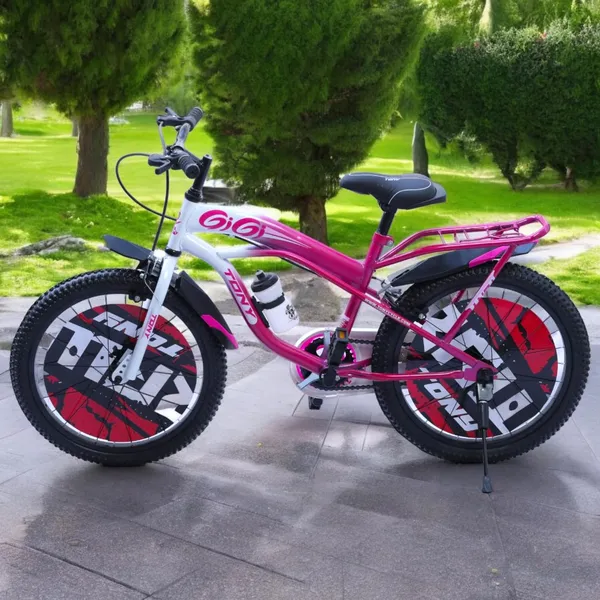 Bmx_Bicycle_With_Training_Wheels