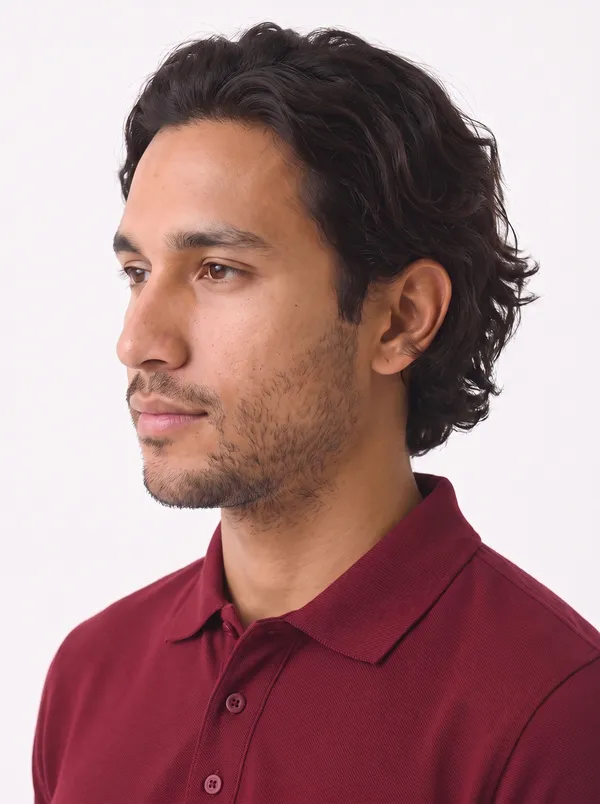Maroon_Regular_Fit_Polo_T-Shirt_For_Men