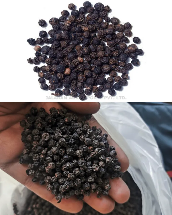 Garden_Nutri_Malabar_Tellicherry_Black_Peppercorns_Whole_-_Pack_of_2