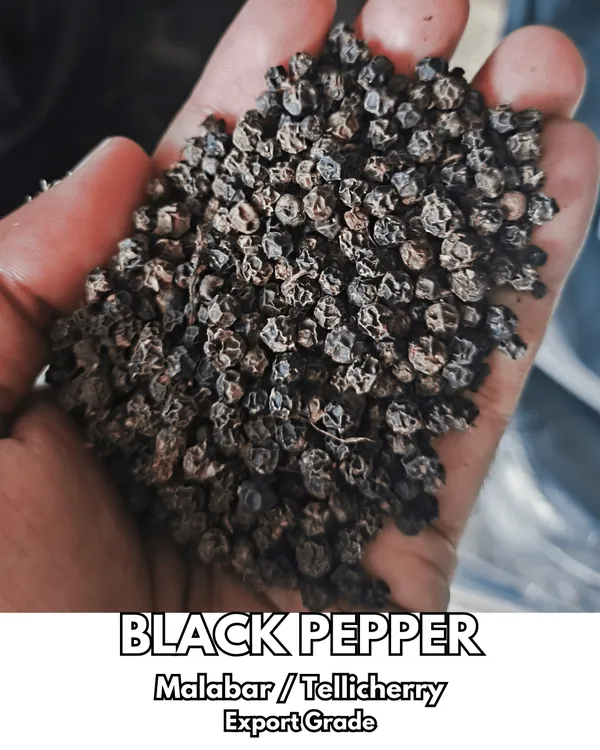 Garden_Nutri_Malabar_Tellicherry_Black_Peppercorns_Whole_-_Pack_of_2