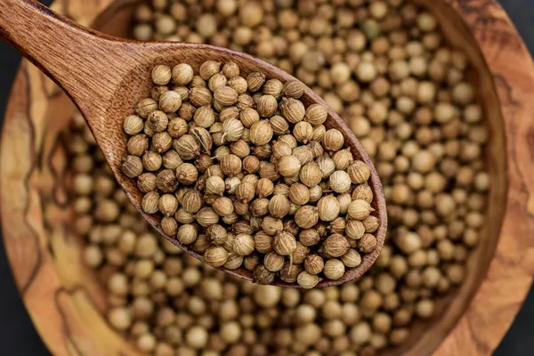 Garden_Nutri_Coriander_Seeds_Whole_Bold_Variety_-_Pack_of_3