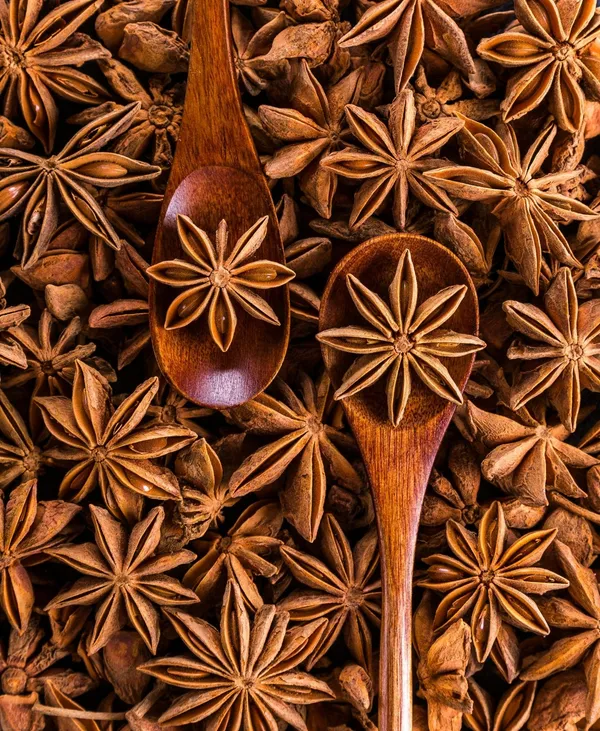 Garden_Nutri_Indian_Whole_Star_Anise_-_Pack_of_2