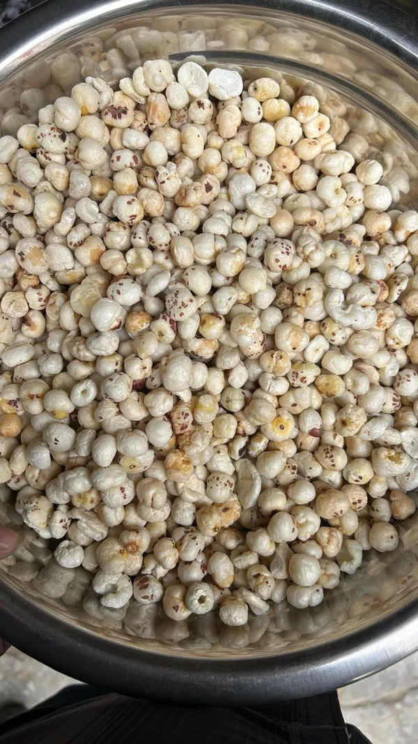 Garden_Nutri_Makhana_Fox_Nuts_Raw_Puffed_-_Pack_of_2