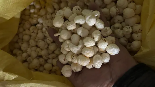 Garden_Nutri_Makhana_Fox_Nuts_Raw_Puffed_-_Pack_of_2