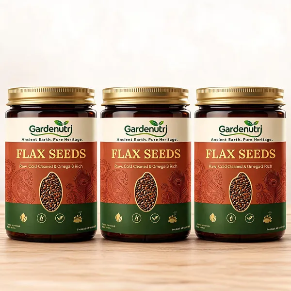 Garden_Nutri_Raw_Brown_Flax_Seeds_Alsi_Omega-3_&_Lignans_200G_-_Pack_of_3