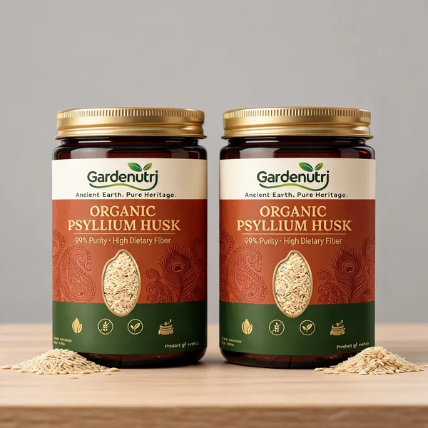 Garden_Nutri_Psyllium_Husk_Sat_Isabgol_Soluble_Fiber_-_Pack_of_2