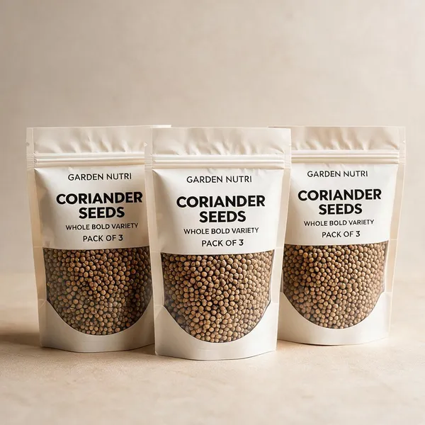 Natural_Coriander_Seeds_Cooking__And_Seasoning_Pack_Of_3