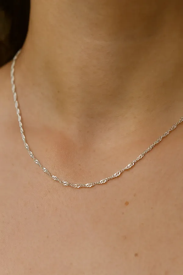 Premium_Twisted_Silver_Chain_Minimalist_Everyday_Statement_Jewelry_Default_Title