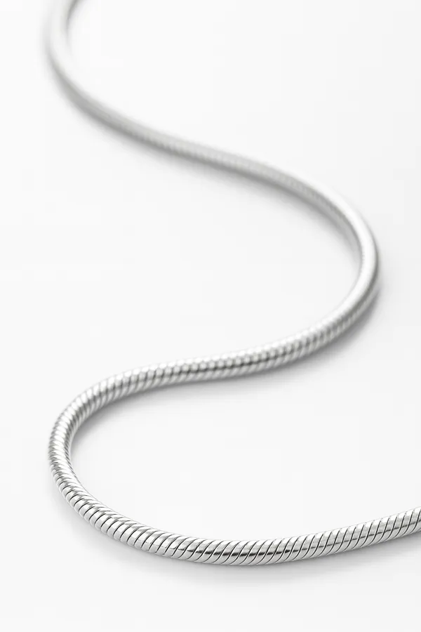 Premium_Silver_Snake_Chain_Minimalist_High_Shine_Default_Title