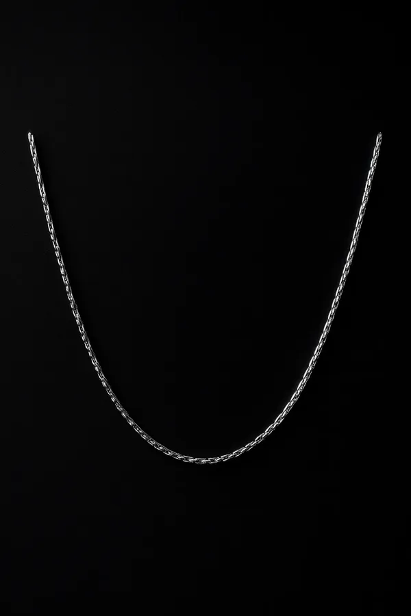 Premium_Silver_Chain_Minimalist_Everyday_Wear_Default_Title