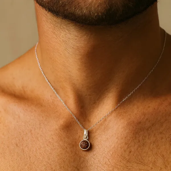 Natural_Rudraksh_In_A_Minimal_Silver_Luxe_Shell_Default_Title