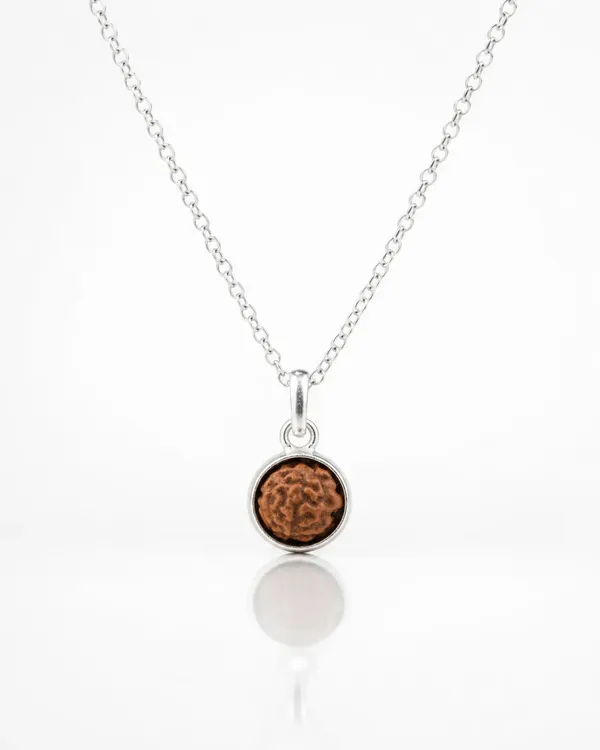 Natural_Rudraksh_In_A_Minimal_Silver_Luxe_Shell_Default_Title