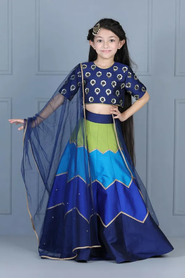 Embriodered_Choli_With_Multi_Colour_Lehenga_Navy_Blue