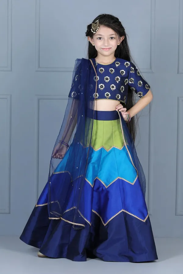 Embriodered_Choli_With_Multi_Colour_Lehenga_Navy_Blue