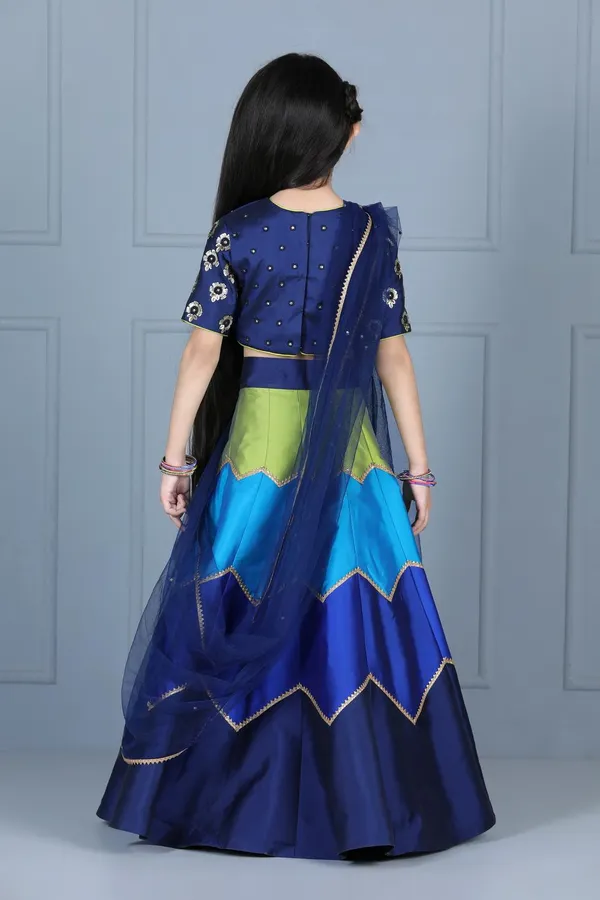 Embriodered_Choli_With_Multi_Colour_Lehenga_Navy_Blue
