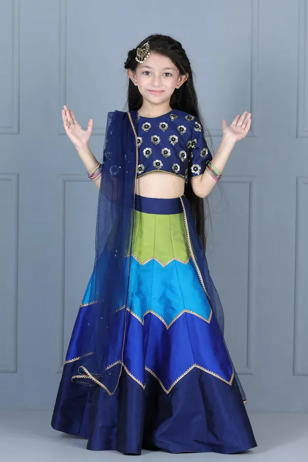 Embriodered_Choli_With_Multi_Colour_Lehenga_Navy_Blue