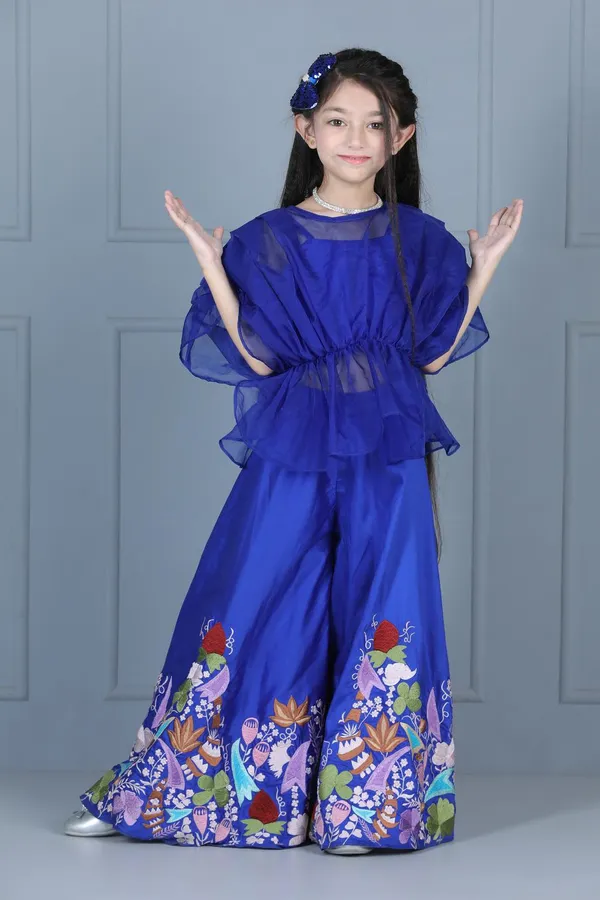Organza_Top_With_Embroidered_Plazzo_Blue_Color