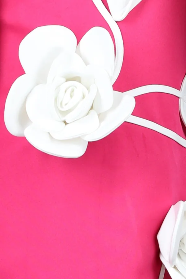 Dress_Embellished_With_3d_Flower_And_Leafs_Hot_Pink