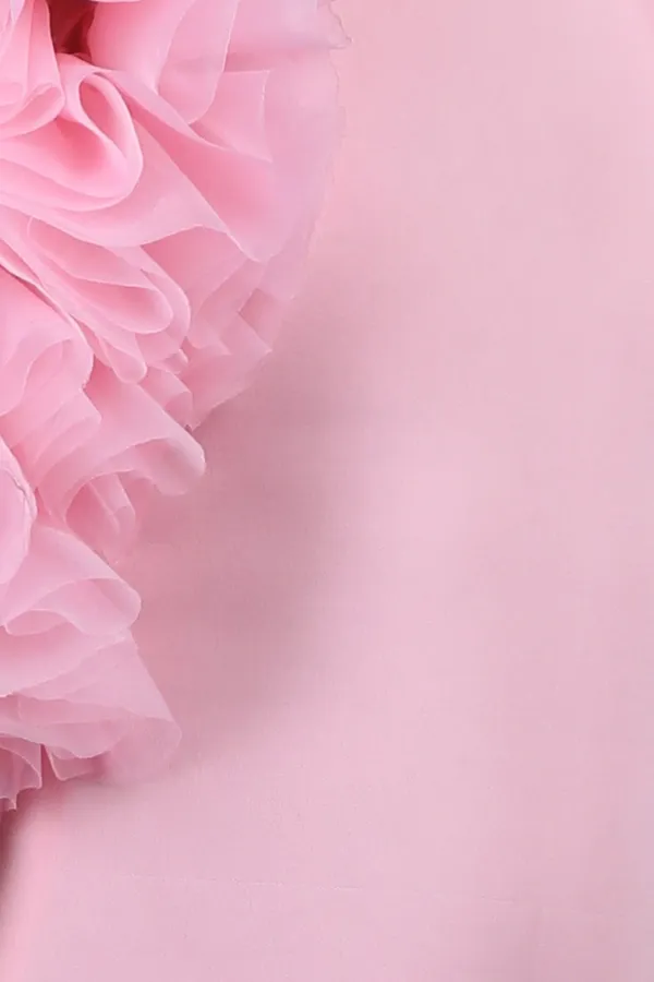 Straight_Dress_Embellisdhed_With_Bunch_Of_3d_Fabric_Flowers_In_Sleeves_Baby_Pink