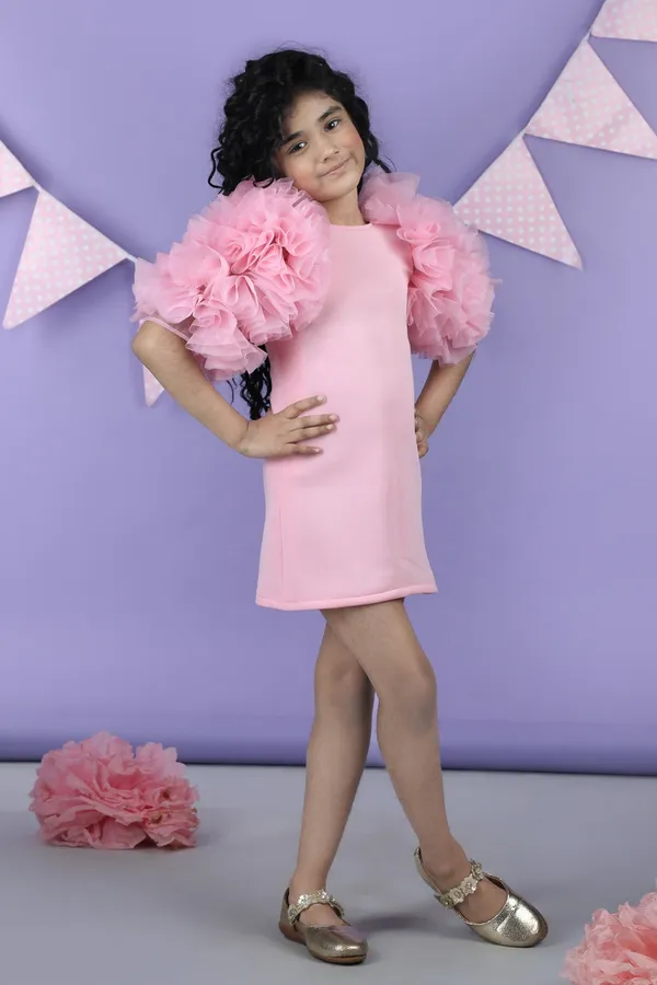 Straight_Dress_Embellisdhed_With_Bunch_Of_3d_Fabric_Flowers_In_Sleeves_Baby_Pink