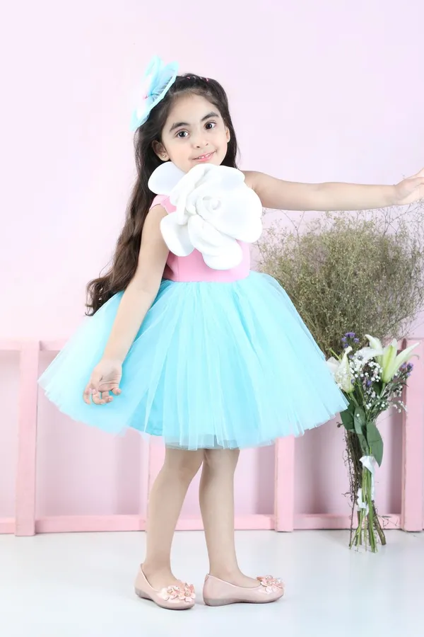 Off_Shouder_2_Tone_Dress_Pink