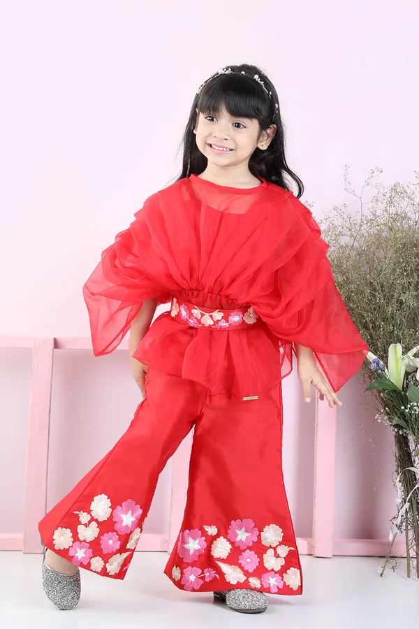 Stylish_Pleated_Red_Top_And_Embriodered_Palazzo_With_Detachable_Belt_Red