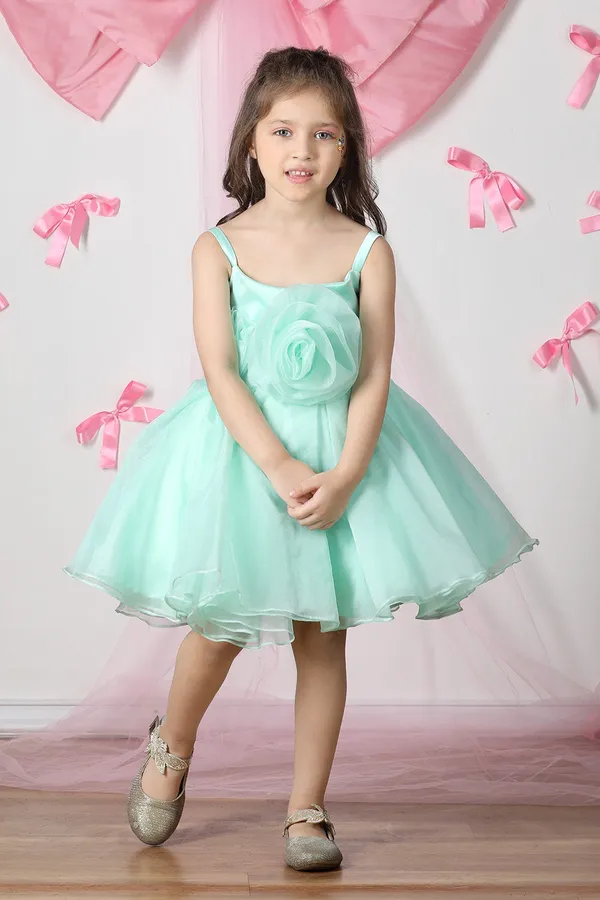 Green_Net_Dress_With_3d_Flowers_And_Flare_Green