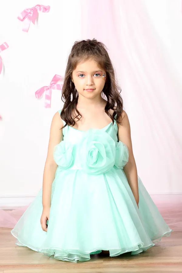 Green_Net_Dress_With_3d_Flowers_And_Flare_Green