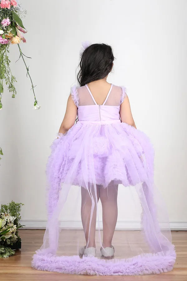 Lilac_Pearl_Embroidered_Yoke_With_Net_Tulles_In_Flare_And_Detachable_Tail_Lilac