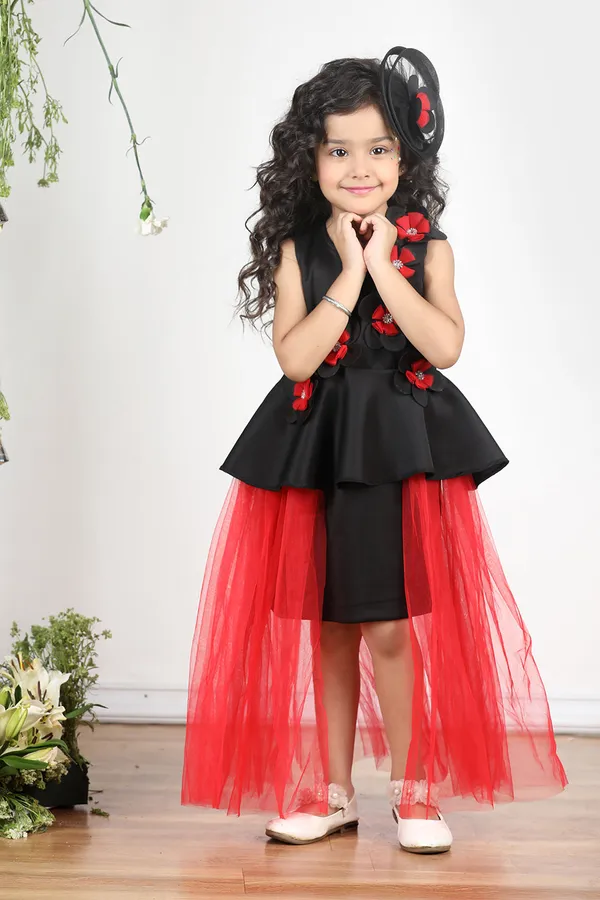 Black_N_Red_Dress_With_3d_Flowers_And_Net_Detailing_Black_N_Red
