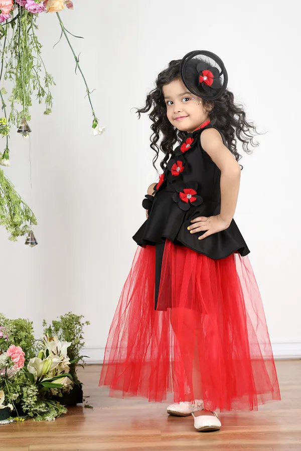 Black_N_Red_Dress_With_3d_Flowers_And_Net_Detailing_Black_N_Red