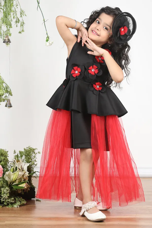 Black_N_Red_Dress_With_3d_Flowers_And_Net_Detailing_Black_N_Red