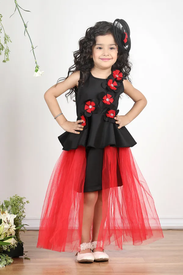 Black_N_Red_Dress_With_3d_Flowers_And_Net_Detailing_Black_N_Red