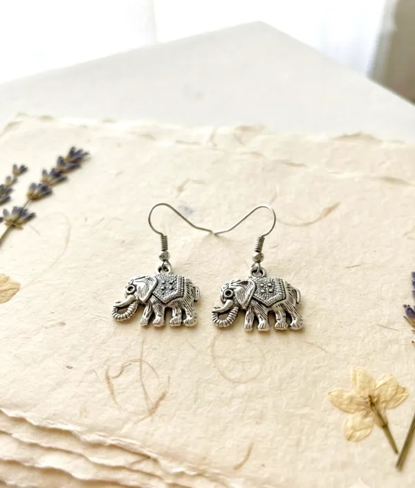 Silver_Stainless_Steel_Caravan_Charm_Earrings_For_Women_Pack_Of_4