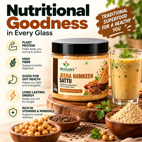 Oragany_Jeera_Namkeen_Sattu_350G