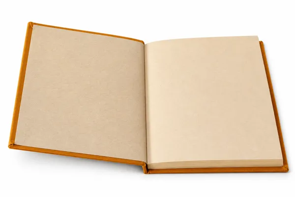 Handmade_Ecoprint_Fabric_Cover_Notebook(Mustard_Yellow)