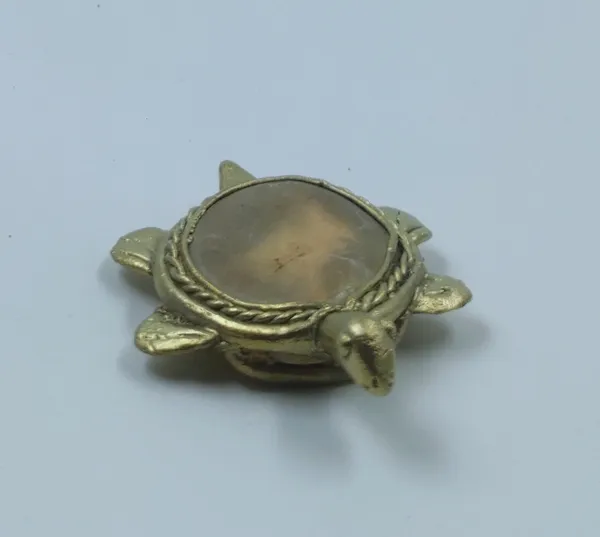 Bronze_&_River_Pebbletortoise