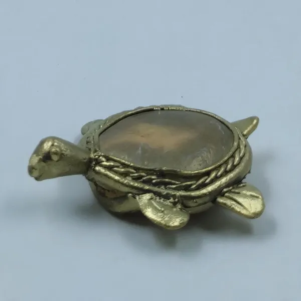 Bronze_&_River_Pebbletortoise