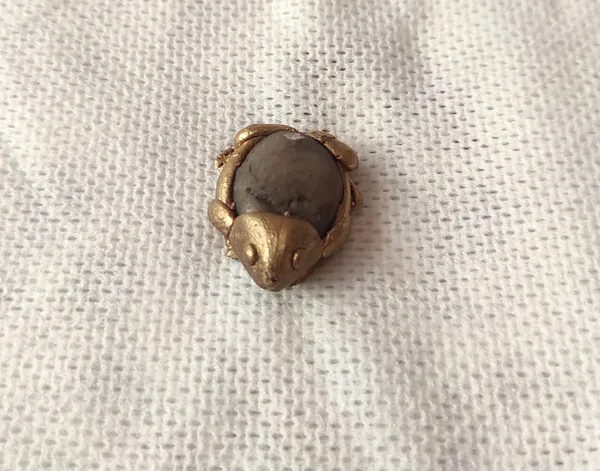 Bronze_&_River_Pebblebaby_Frog